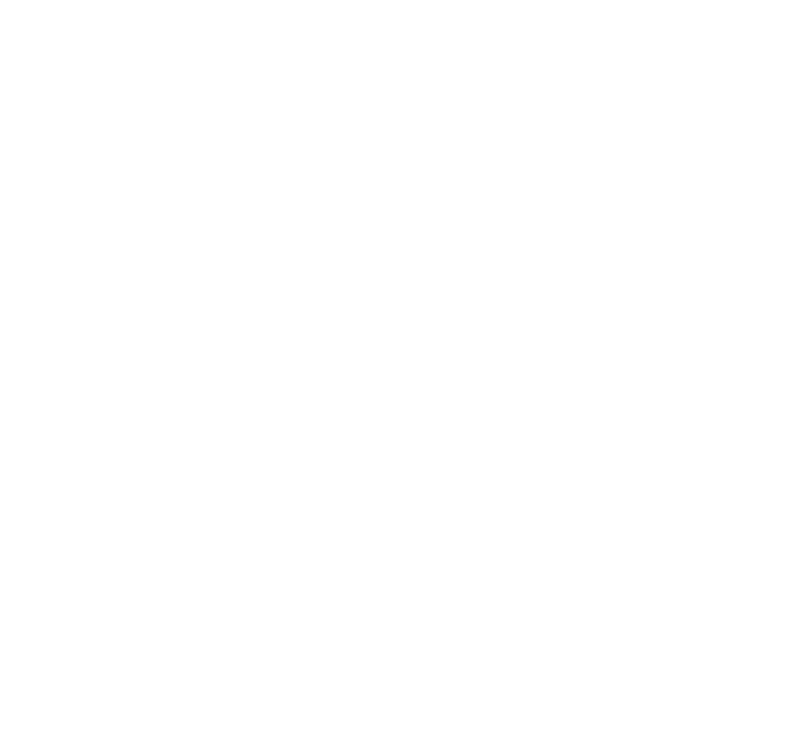 Marca Chile